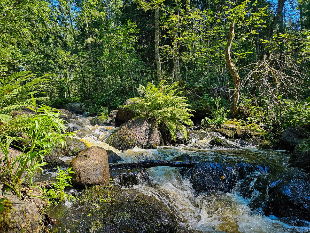 Камни